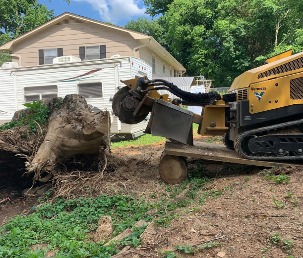close up shot stump removal machine